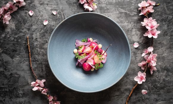 PREMIOS NACIONALES DE ARTESANÍA 2025